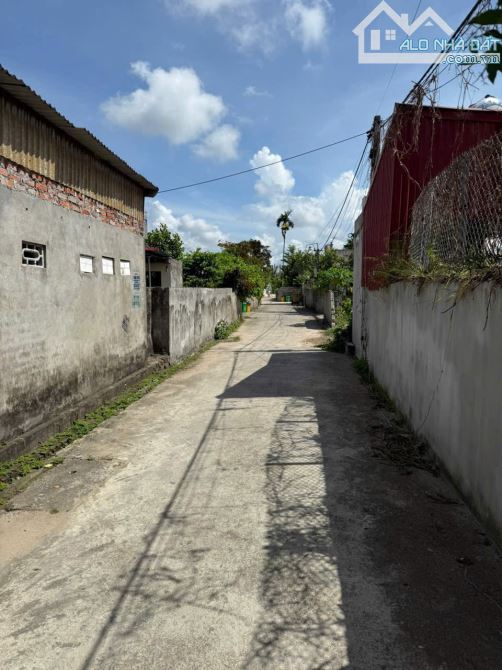 61,2m2 Vũ Vị, Minh Tân, Kiến Thụy - 1