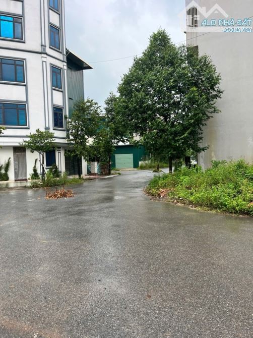 🏠 ĐẤT ĐẤU GIÁ - PHÚ LƯƠNG - HÀ ĐÔNG 50m2, Mt 5m - 1