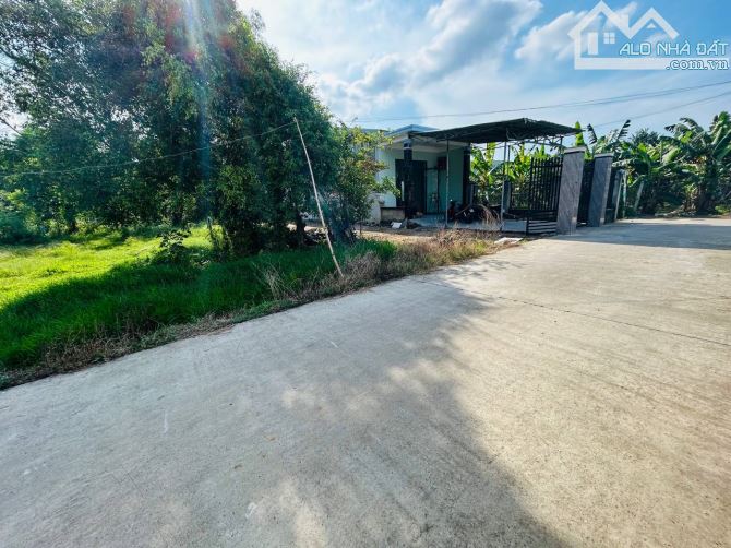 🔥 BÁN ĐẤT 225M² – VEN ĐÀ NẴNG – GIÁ SIÊU HẤP DẪN 🔥 - 1