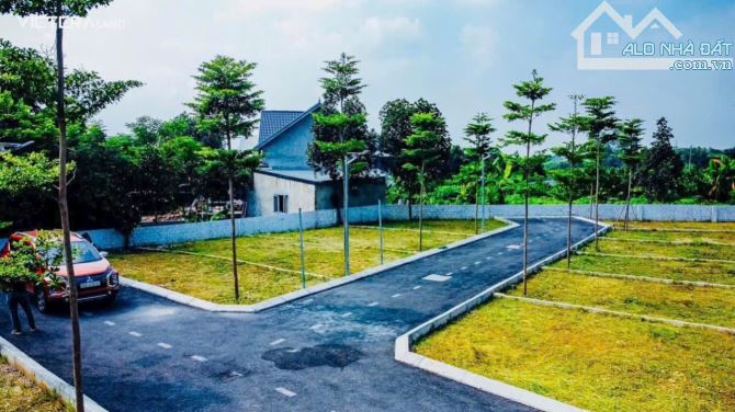65,5m thôn 8 tân xã, đường rộng, sát đường lớn giá hợp lý - 1