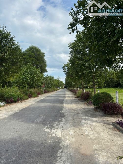 Bán Lô Đất Tái Định Cư Thôn Hồng Mỹ - 1