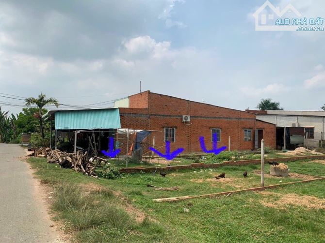 Cần bán đất mặt tiền đường nhựa 1/ Tỉnh Lộ 7 5x25 tổng 125m2 Full thổ cư xây dựng liền - 1