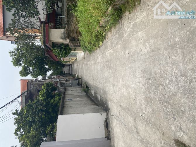 🏡 BÁN ĐẤT– GIÁ TỐT – THÔN CHÈ, NINH XÁ, THUẬN THÀNH, BẮC NINH 🏡 - 1