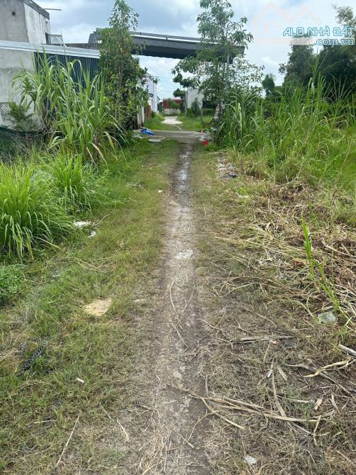 Bán đất Mỹ Hạnh Bắc, Đức Hòa, Long An, 1,55 triệu VND, 190m2 đẹp, nhiều tiện ích - 1