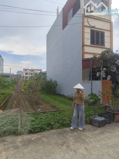 Bán 103m2 đất DV Lại Yên giá đầu tư - 1