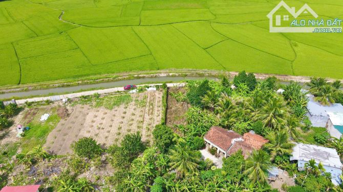 Bán đất 209m2 view cánh đồng đẹp Xã Diên Khánh, Khánh Hòa - 1