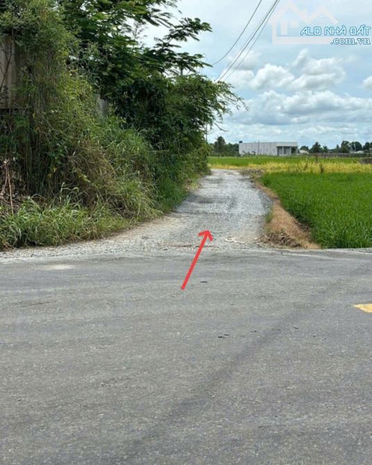 ⭐⭐THỔ CƯ LONG AN GIÁ RẼ. DT: 5X30M GIÁ 420TR. ĐƯỜNG XE Ô TÔ. VIEW KÊNH - 1