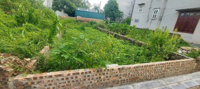 Đất bán tại Thượng Cát, 3,8 tỷ, 46,1m2, giá cực chất, khu vực đang phát triển mạnh, từng n - 1