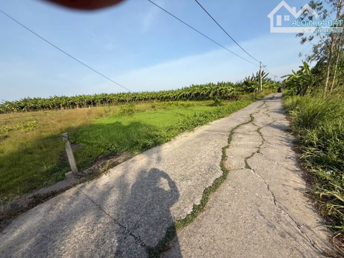 ✅ Bán 1000m2 đất ( 318m2 thổ + 682m2 lúa ) đường oto thuộc Ấp 4 , Hiệp Thạnh , Châu Thành. - 1