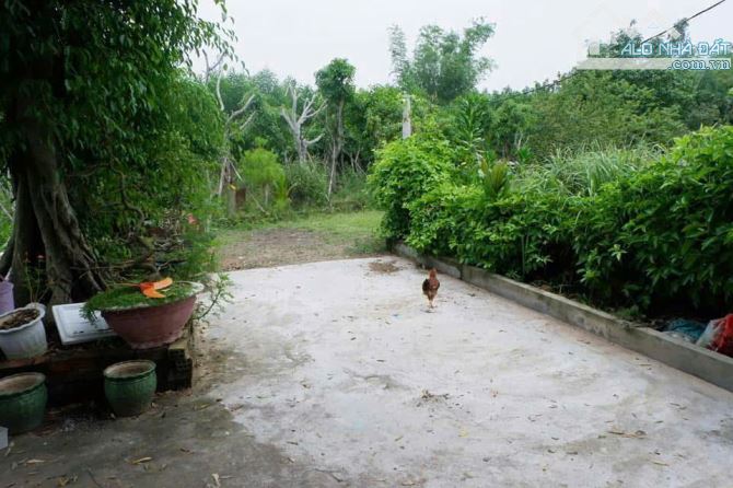 📌📌📌LÀM VIỆC TRỰC TIẾP GIÁ TỐT !!!bán lô trồng cây lâu năm hòa phong - 1
