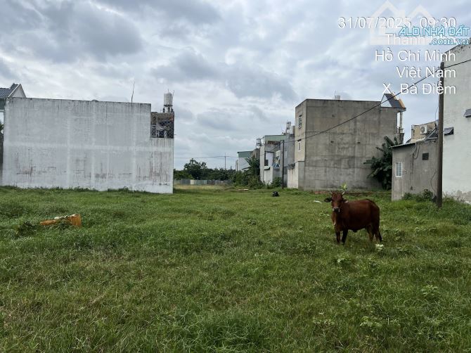 Bán đất 1.111m² tại Hóc Môn – Sẵn sàng giao dịch ngay - 1