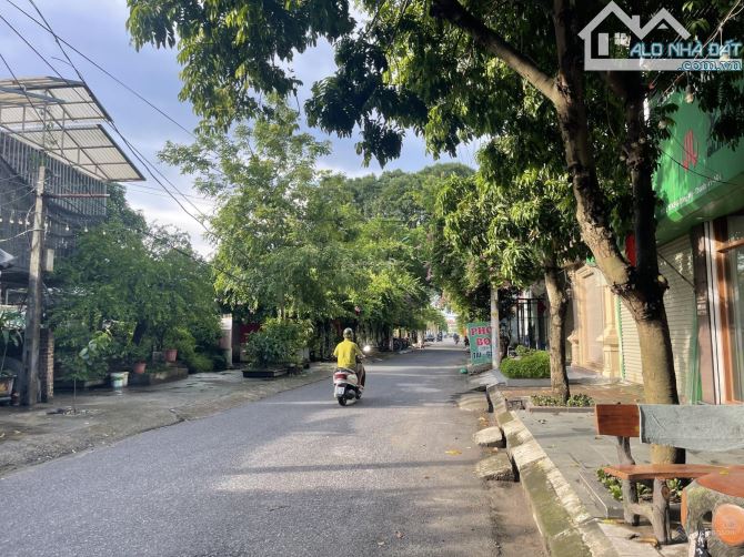 BÁN ĐẤT ĐẤU GIÁ PHÂN LÔ VỈA HÈ ĐƯỜNG NHỰA MẶT TIỀN RỘNG DÔNG MỸ 10.2 TỶ - 1