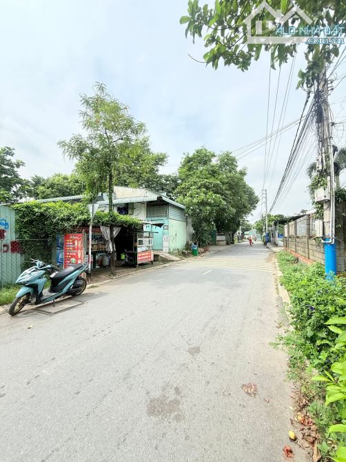 Bán Đất Mặt tiền Nhựa thông buôn bán KDC tứ Hải Dĩ an Bình dương 4 tỷ 350 triệu - 1