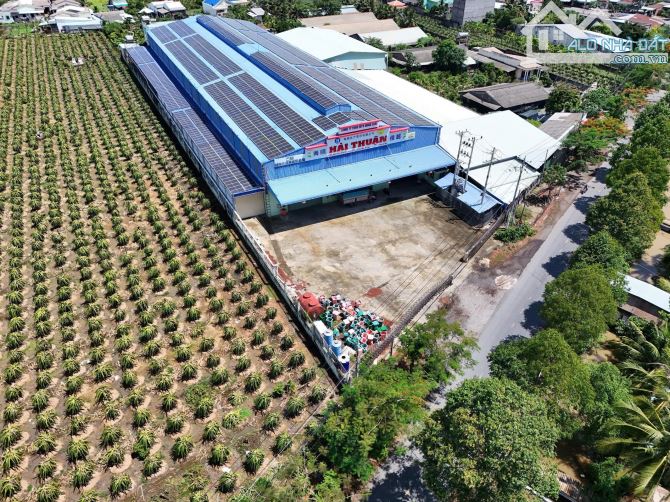 ✅ Bán xưởng lớn 6134m2 đất ( TMD ) mặt tiền đường Nguyễn Thông thuộc xã Phú Ngãi Trị - 1