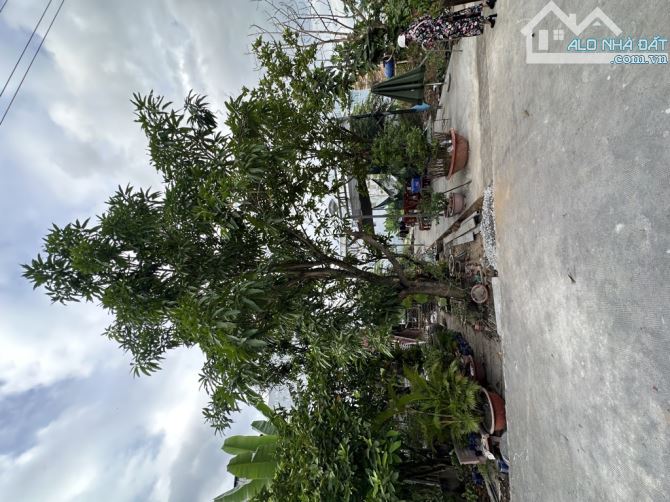 488M2- SHR- ĐẤT HXH KDC HIỆN HỮU LÊ VĂN LƯƠNG,GPXD 5 TẦNG CHỈ 13 TỶ - 2