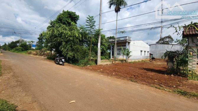 500m2 ĐẤT MẶT TIỀN ĐƯỜNG NGUYỄN XUÂN NGUYÊN, P TÂN AN. GIÁ 6 TỶ - 2