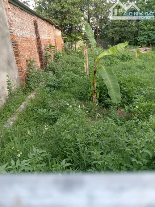 Bán 86m2 Kim Quan _ Thạch Thất, giá 2 tỷ 550 triệu - 2