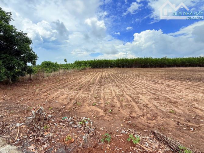 1000m2-200 thổ cư - Láng Dài - Đất Đỏ. cách biển 15ph - 2