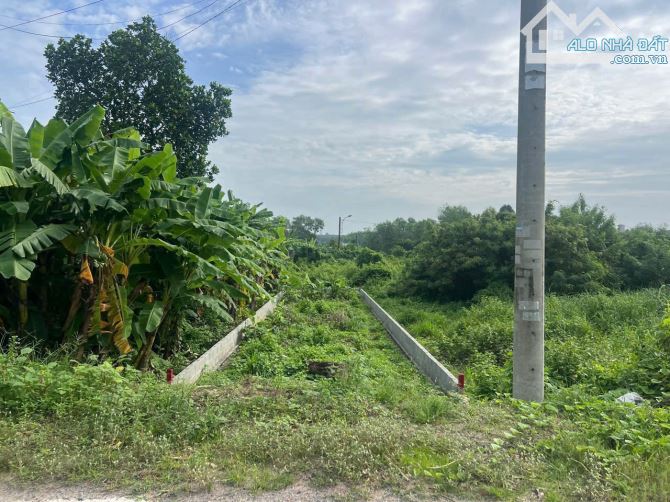 Cần bán đất mặt tiền đường Nguyễn Văn Khạ xã Tân An Hội 5x25 125m2 thổ cư 102m2 - 2