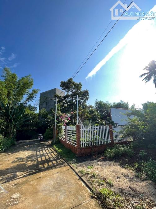BÁN ĐẤT HẺM 107 NGUYỄN PHÚC CHU - GẦN HOA VIÊN PHƯỜNG THÀNH NHẤT !!! - 2