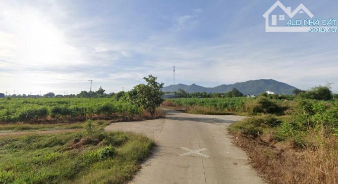 Bán gấp đất chính chủ tại xã Châu Pha thị xã Phú Mỹ Bà Rịa Vũng Tàu - 2