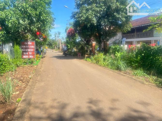 BÁN ĐẤT TRỤC LỘ 2 – BUÔN KY, P. THÀNH NHẤT 🔥 - 2