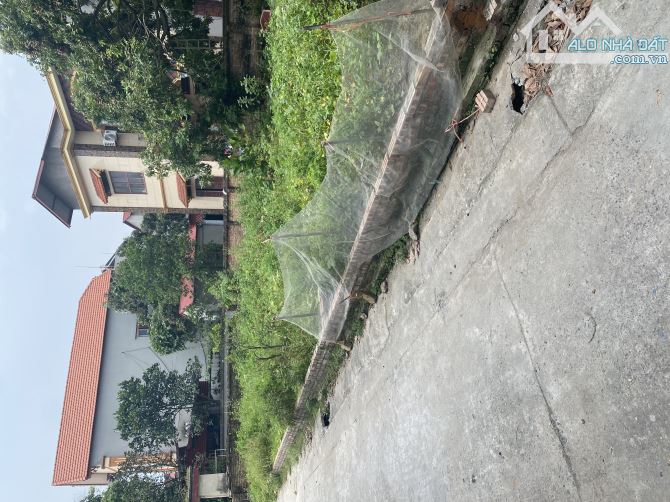 🏡 BÁN ĐẤT– GIÁ TỐT – THÔN CHÈ, NINH XÁ, THUẬN THÀNH, BẮC NINH 🏡 - 2