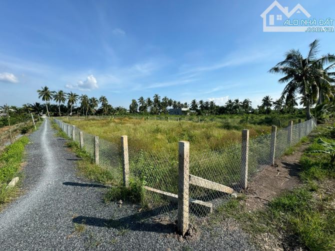 đất vườn được chuyển thổ xã Thạnh Hòa xe hơi tới đất - 2