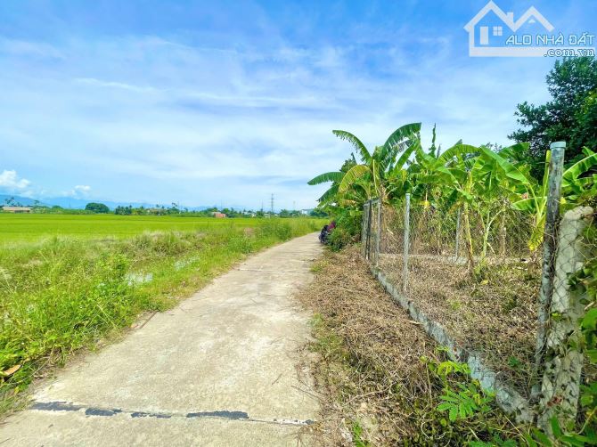 Bán đất 209m2 view cánh đồng đẹp Xã Diên Khánh, Khánh Hòa - 2