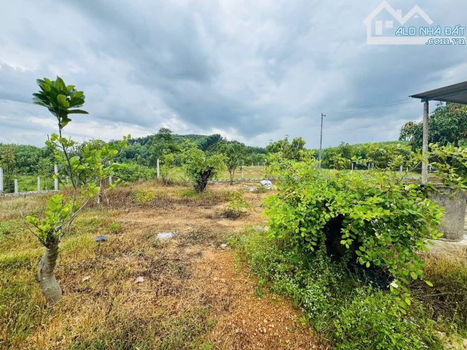 Bán Vườn Khánh Đông - Khánh Vĩnh, Khánh Hòa FULL ONT Giá 2Ty850 - 2
