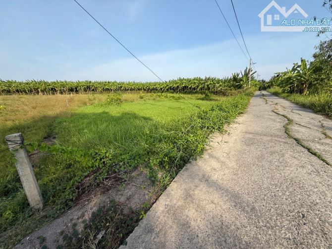 ✅ Bán 1000m2 đất ( 318m2 thổ + 682m2 lúa ) đường oto thuộc Ấp 4 , Hiệp Thạnh , Châu Thành. - 2