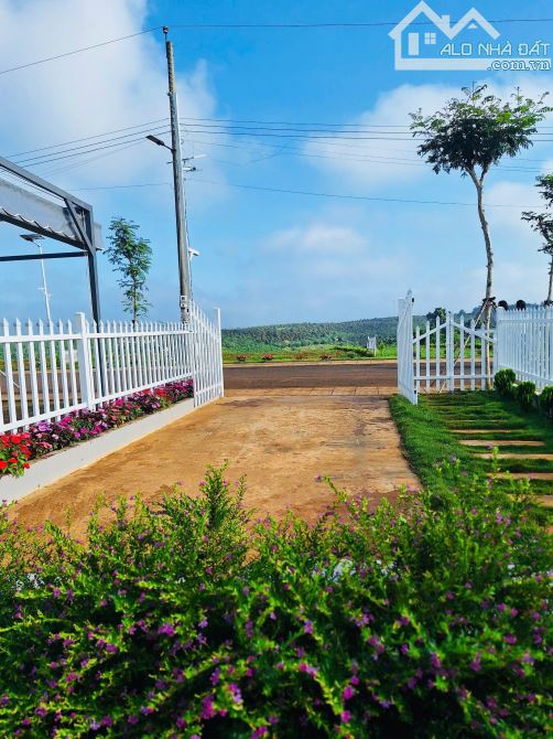 Chỉ cần 350tr sở hữu ngay lô đất gần chợ Hòa Ninh, xã Đinh Trang Hòa, Di Linh, Lâm Đồng - 2