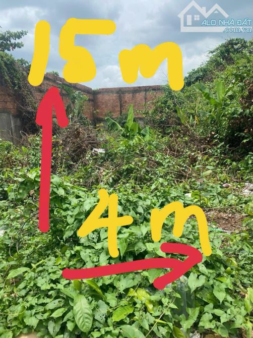 ⸻  🏡 ĐẤT 60M² – HXH 6M – KHU PHÂN LÔ – SỔ VUÔNG – NGAY ĐH – GIÁ TỐT CHO ĐẦU TƯ & XÂY Ở - 2