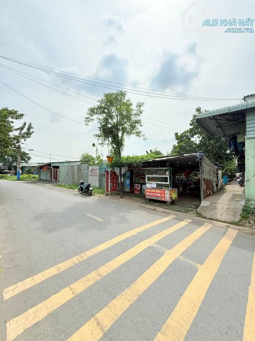 Bán Đất Mặt tiền Nhựa thông buôn bán KDC tứ Hải Dĩ an Bình dương 4 tỷ 350 triệu - 2