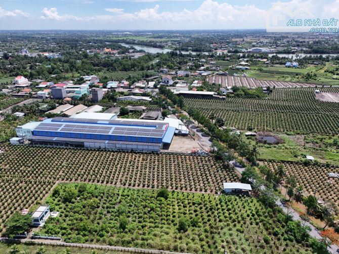 ✅ Bán xưởng lớn 6134m2 đất ( TMD ) mặt tiền đường Nguyễn Thông thuộc xã Phú Ngãi Trị - 2