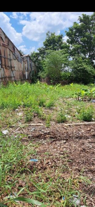 ✅ Bán 435m2 ( có 154m2 Thổ + 281m2 Lúa ) mặt tiền 827A thuộc xã Thanh Phú Long ,Châu Thành - 2