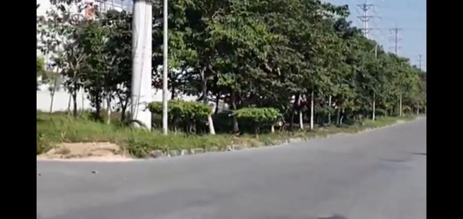 Công ty cần bán 1,5 ha khu công nghiệp Phố Nối A chỉ 3,5 triệu/m2 - 2