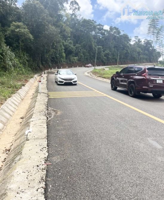 🔥Bán đất đường Lý Thái Tổ, Dambri, Bảo Lộc.💯 Ngay KDL thác Dambri, chùa Adida. DT 6300m2 - 1