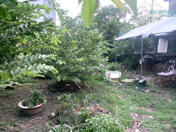 Bán Gấp Nhà 657m² Full Thổ – Ngang 12m – Hẻm Xe Hơi - Chỉ 36 Triệu/m² - Linh Xuân Thủ - 3