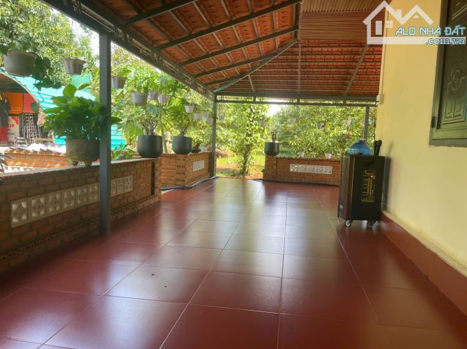 BÁN LÔ ĐẤT SÀO SẦU RIENG ĐẸP TẠI XÃ EATU ĐẦU TƯ HOẶC Ở NGHỈ DƯỠNG ĐỀU TUYỆT VỜI - 3