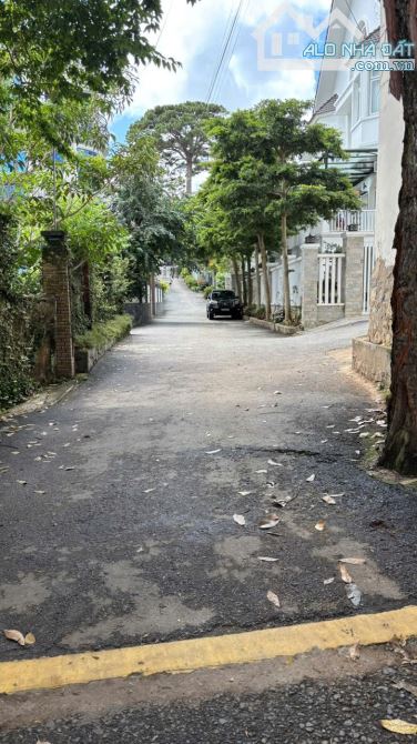 Bán nhà khu VIP an ninh cao, yên tĩnh Đà Lạt, Quang Trung 300m2 ngang 20m giá 26 tỷ - 3