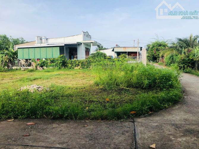 Bán 6m x 31m đất ONT Hẻm Quốc Lộ 55 - Tân Xuân - Hàm Tân giá ngộp 660 triệu - 3