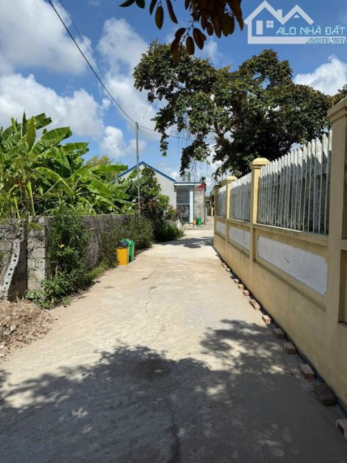 61,2m2 Vũ Vị, Minh Tân, Kiến Thụy - 3