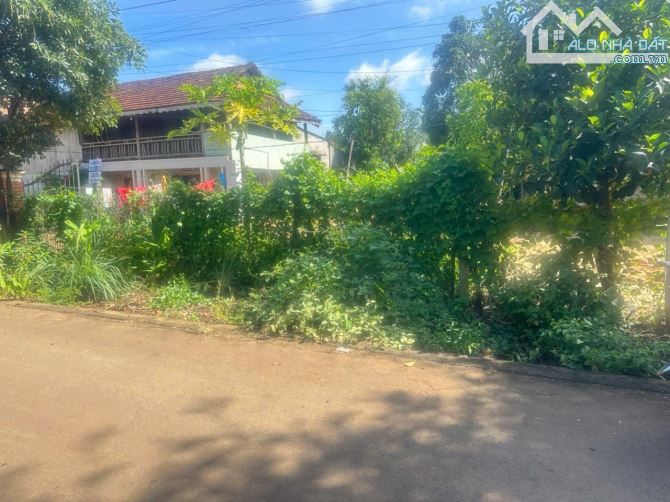 BÁN ĐẤT TRỤC LỘ 2 – BUÔN KY, P. THÀNH NHẤT 🔥 - 3