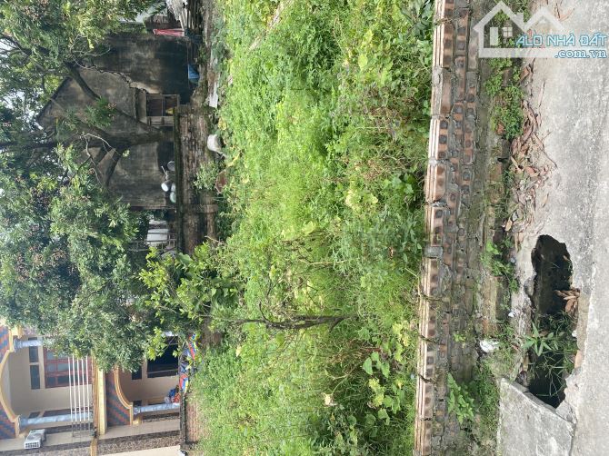🏡 BÁN ĐẤT– GIÁ TỐT – THÔN CHÈ, NINH XÁ, THUẬN THÀNH, BẮC NINH 🏡 - 3