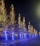 BÁN ĐẤT GÓC 2 MẶT TIỀN ĐỒ CHIỂU GẦN BÃI TRƯỚC, 285 M2 NGANG 11.9 GIÁ 26 TỶ - 3