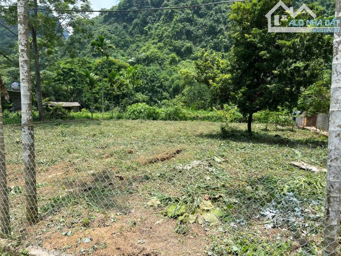 Cần bán siêu phẩm nghỉ dưỡng S= 500m2 có 400m2 ONT - CLN. Đất vuông vắn - Sẵn sổ Hồng - 3