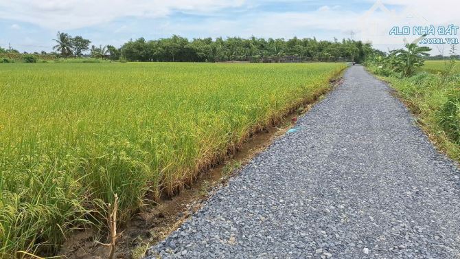 ⭐⭐THỔ CƯ LONG AN GIÁ RẼ. DT: 5X30M GIÁ 420TR. ĐƯỜNG XE Ô TÔ. VIEW KÊNH - 3