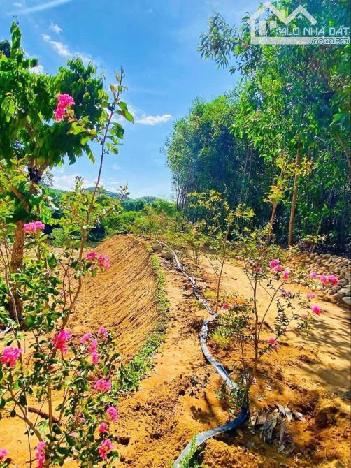 Bán đất View Sông Truồi thơ mộng Xã Lộc Hoà,Huyện Phú Lộc,TP Huế - 3
