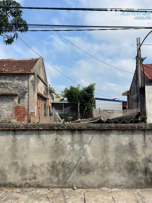 lô đất 66,6m2 Mặt đường Trần Minh Thắng, Quý Kim, Nam Đồ Sơn. - 3